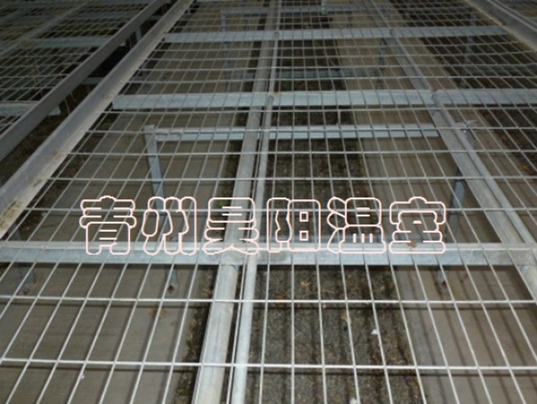 溫室移動苗床