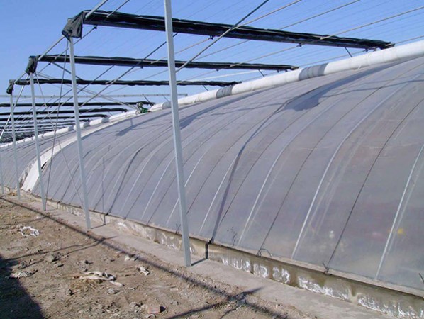 Flower greenhouse