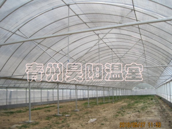 Intelligent multi-span greenhouse