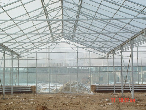 Venlo glass PC greenhouse