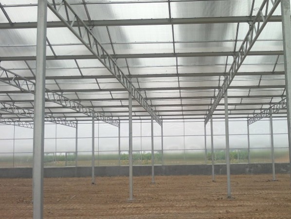 Venlo glass PC greenhouse